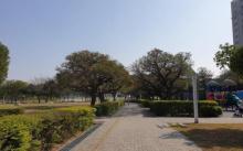 Taichung Zhongzheng Park3