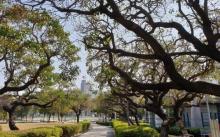 Taichung Zhongzheng Park2