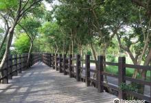 Tiezhn Shan Fengjiang Qu2