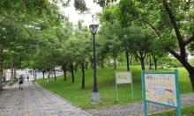 新都生态公园2