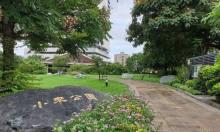 小来公园3