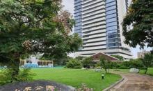 小来公园1