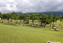 Dongshan River Forest Park2