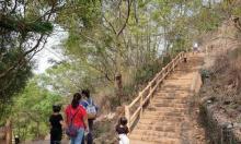 竹坑－南寮登山步道1