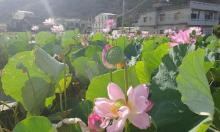 清水赵家古厝3