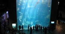 台湾海洋生物博物馆25