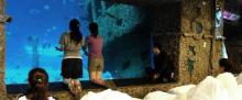 台湾海洋生物博物馆7