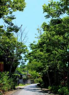 什寒村4