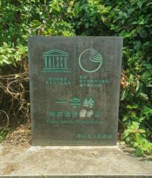 一字岭4