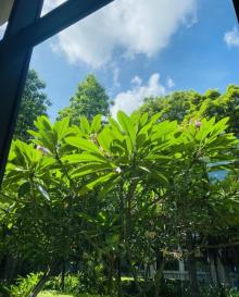 海南省图书馆4