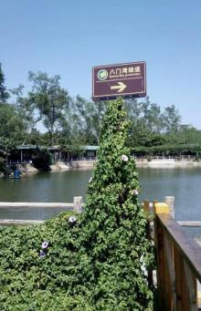 八门湾绿道4