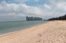 龙港海滩11