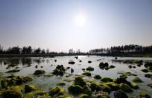 雷公岛5
