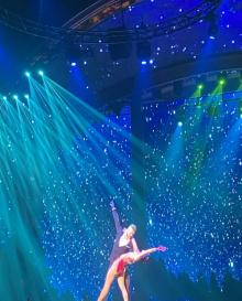 海花岛梦幻海花3