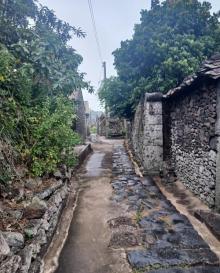 罗驿古村12