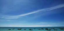 叶榕海滩19