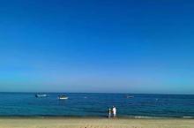 叶榕海滩3