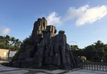 椰子大观园25