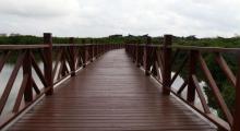 富力红树湾湿地公园6