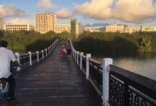情人桥15