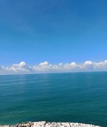 大东海潜水16