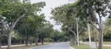 太阳湾路11