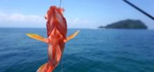 三亚澜海海钓俱乐部25