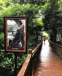 全海景玻璃栈桥13