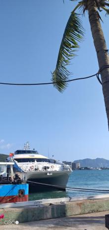 海上巴士观光14