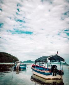 小东海5