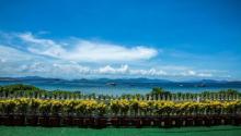 蜈支洲岛潜水15