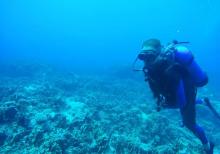 亚龙湾爱琴海PADI潜水度假村27