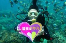 亚龙湾爱琴海PADI潜水度假村26