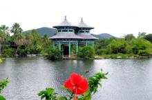 南山寺18