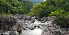 呀诺达雨林文化旅游区6