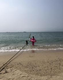 大东海14