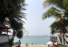 大东海13