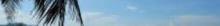 大东海10