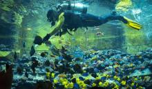 三亚亚特兰蒂斯失落的空间水族馆14