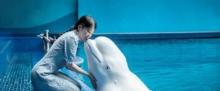 三亚亚特兰蒂斯失落的空间水族馆10