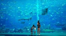 三亚亚特兰蒂斯失落的空间水族馆1