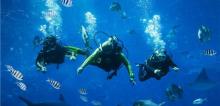 三亚亚特兰蒂斯失落的空间水族馆18