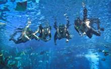 三亚亚特兰蒂斯失落的空间水族馆3