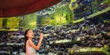 三亚亚特兰蒂斯失落的空间水族馆29