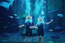 三亚亚特兰蒂斯失落的空间水族馆25