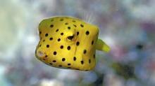 三亚亚特兰蒂斯失落的空间水族馆28