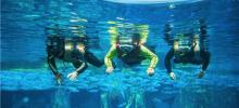 三亚亚特兰蒂斯失落的空间水族馆21