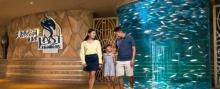 三亚亚特兰蒂斯失落的空间水族馆22