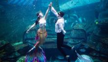 三亚亚特兰蒂斯失落的空间水族馆26