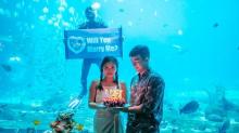 三亚亚特兰蒂斯失落的空间水族馆23